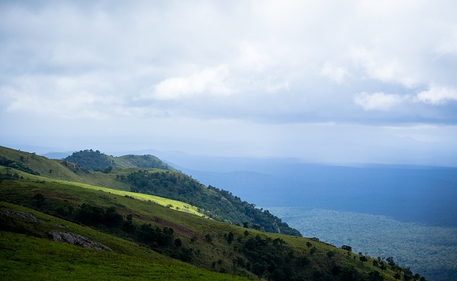 在第九届亚 在第九届亚