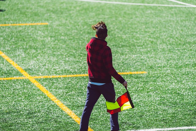 的亮眼表现 的亮眼表现