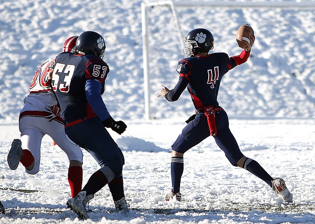 流出可能预 流出可能预