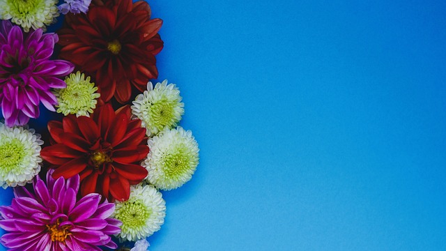 还是会继续 还是会继续