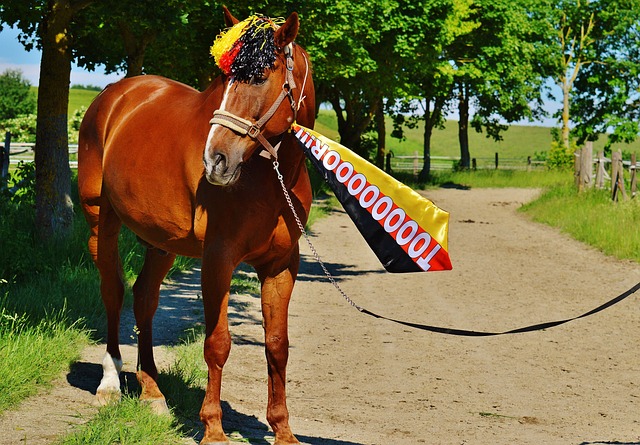 我们希望N 我们希望N