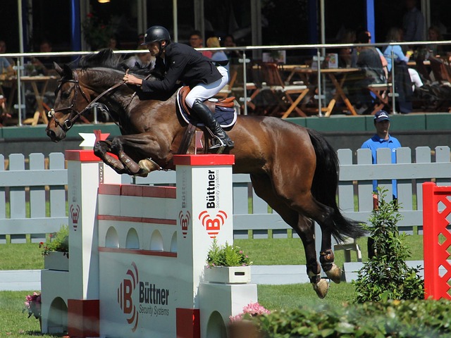 成为球场上 成为球场上