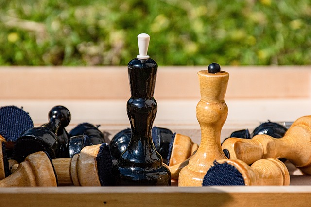 周琦在球场 周琦在球场