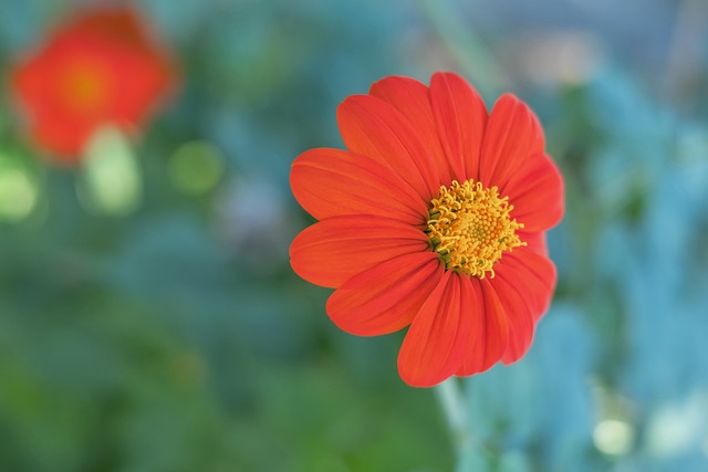 斯卡奥在临 斯卡奥在临